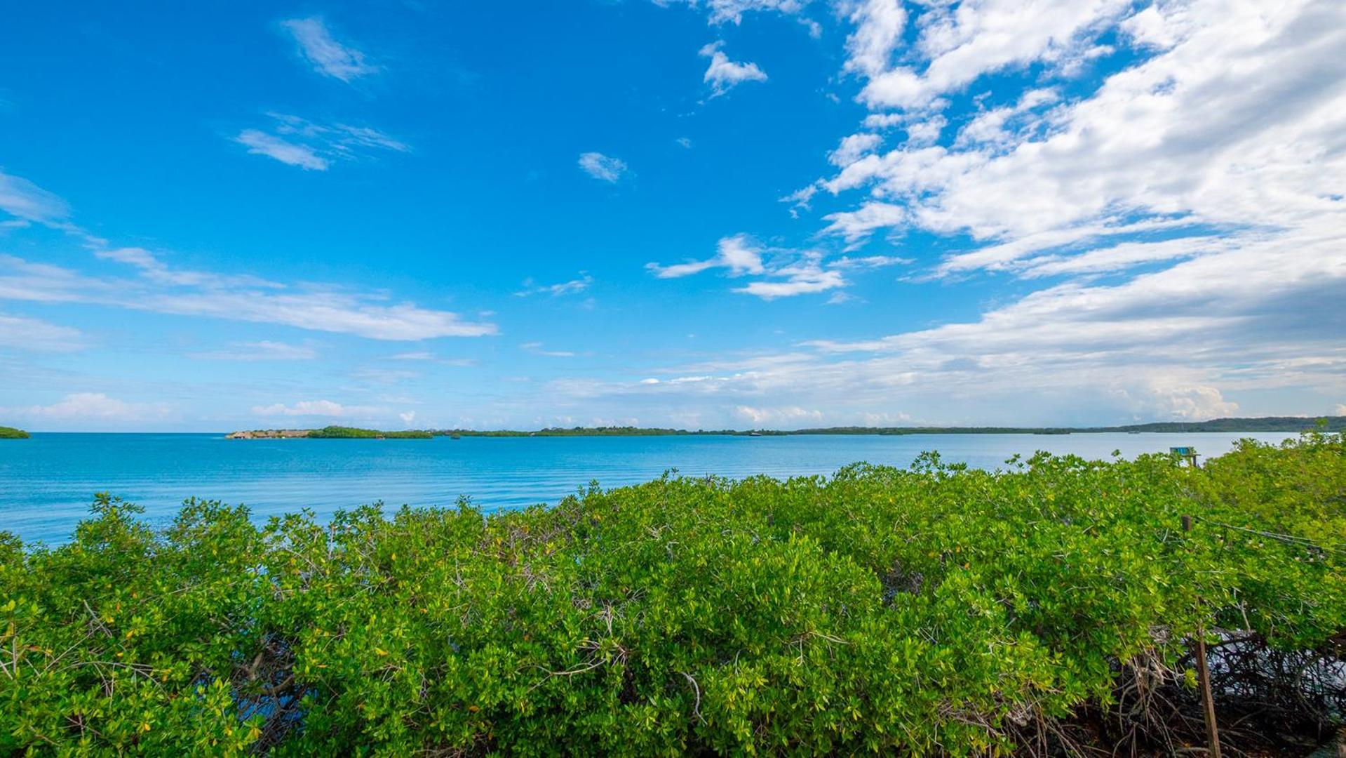 Aura Hotel Isla Barú Zewnętrze zdjęcie